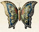 Butterfly_small_9-10-11