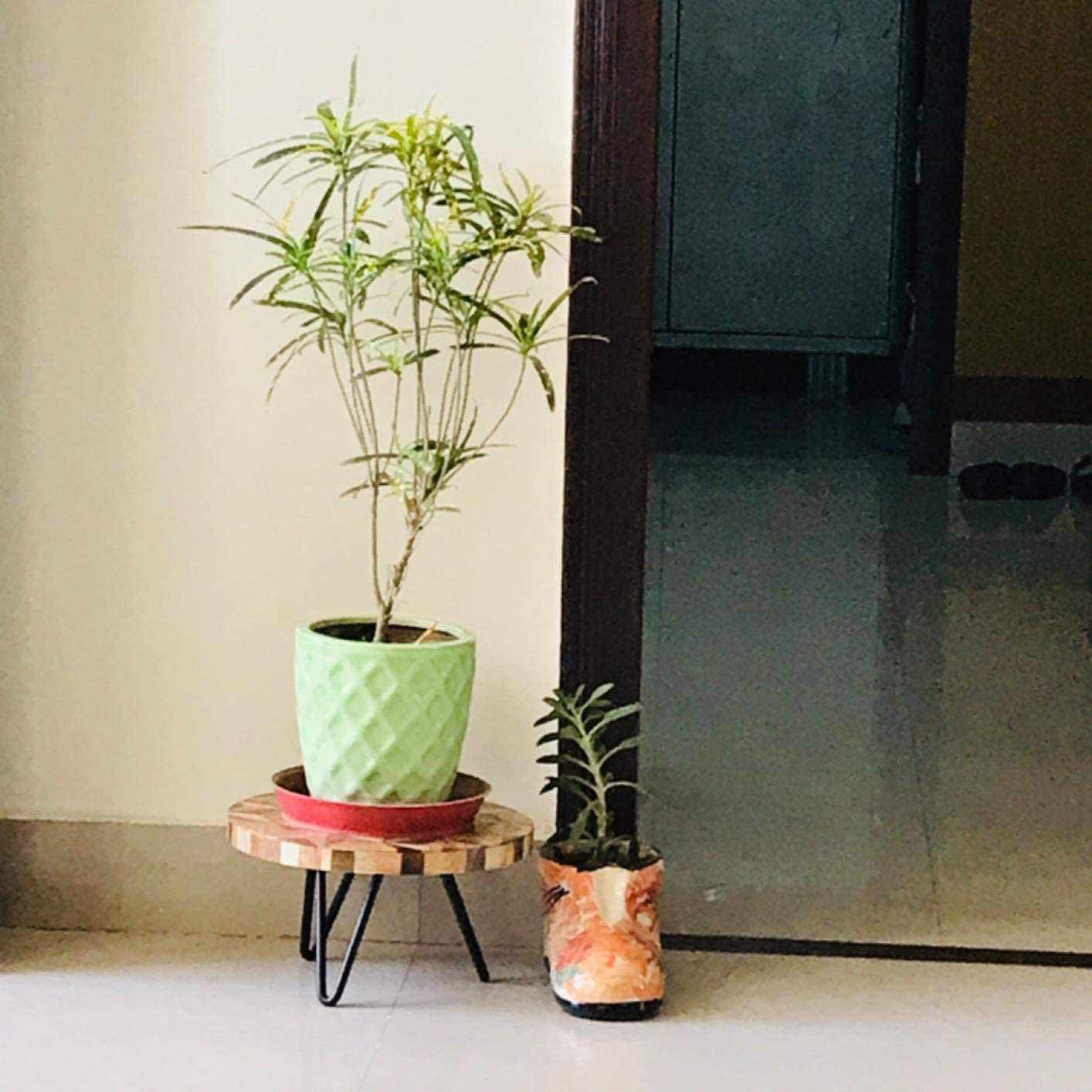 TUZECH Casa Decor Cake, Plant, Showpiece Decorative Stand for Home, Living Room, Dinning Table-Tuzech store